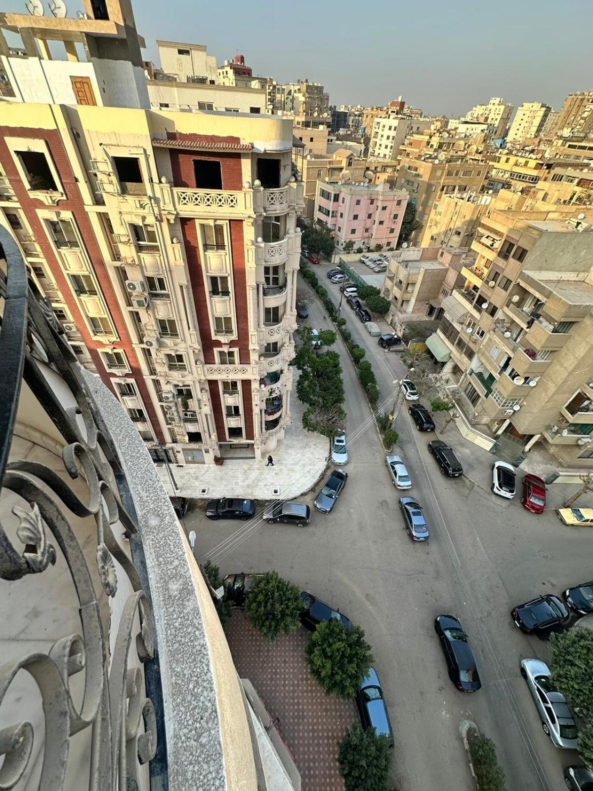 The Oasis Cairo